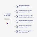 OVOCAL CALCIUM L-THREONATE ,NEM® 30 TABS - Image 5