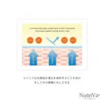 NUTRIVA® AC REDUCE ACNE SCARS AND DARK SPOTS - Image 6
