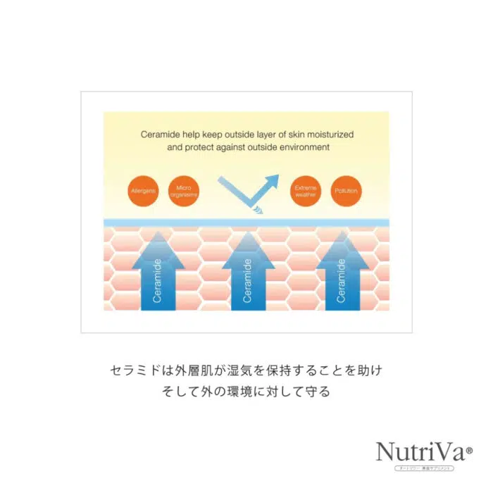 NUTRIVA® AC REDUCE ACNE SCARS AND DARK SPOTS - Image 6