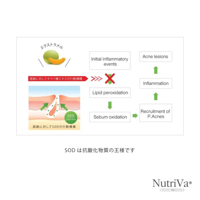 NUTRIVA® AC REDUCE ACNE SCARS AND DARK SPOTS - Image 5