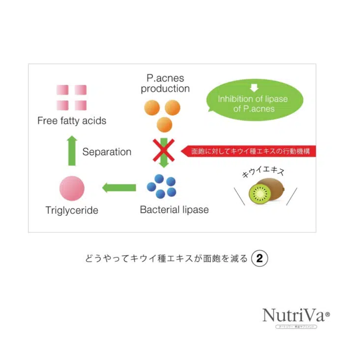 NUTRIVA® AC REDUCE ACNE SCARS AND DARK SPOTS - Image 9